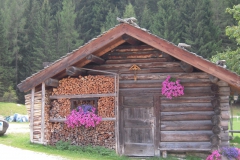 2010-FieraDiPrimiero-1015