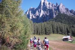 2010-FieraDiPrimiero-1021