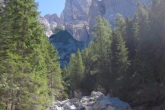2010-FieraDiPrimiero-1033