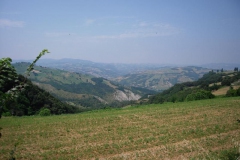 2010-RUNEDA-1004