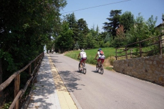 2010-RUNEDA-1005