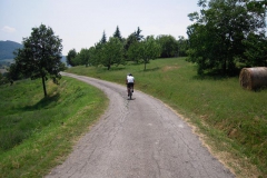 2010-RUNEDA-1012