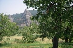 2010-RUNEDA-1014