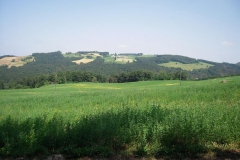 2010-RUNEDA-1017