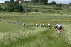 2010-trasimeno-1021