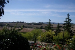 CRETE SENESI (1019)