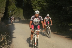 CRETE SENESI (1073)