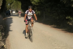 CRETE SENESI (1075)