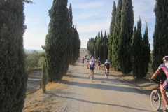 CRETE SENESI (1091)