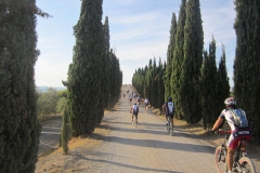 CRETE SENESI (1092)
