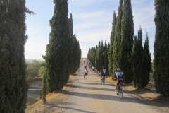 CRETE SENESI (1093)