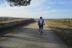 CRETE SENESI (1094)