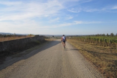 CRETE SENESI (1095)