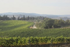CRETE SENESI (1096)