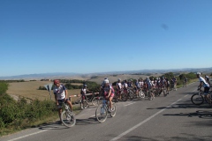 CRETE SENESI (1133)