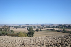 CRETE SENESI (1177)