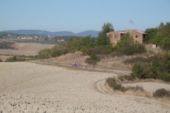 CRETE SENESI (1369)