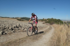 CRETE SENESI (1376)