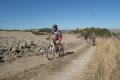 CRETE SENESI (1378)