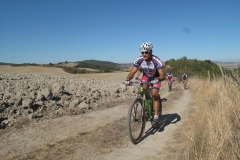 CRETE SENESI (1379)