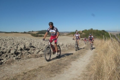 CRETE SENESI (1380)