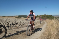 CRETE SENESI (1381)