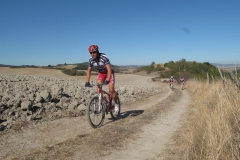 CRETE SENESI (1382)