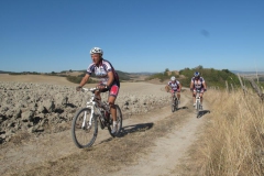 CRETE SENESI (1383)