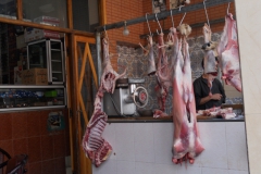 2010-MAROCCO (1020)