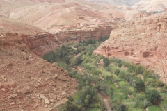 2010-MAROCCO (1036)