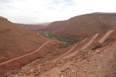 2010-MAROCCO (1037)