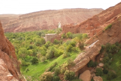 2010-MAROCCO (1038)