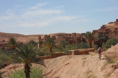 2010-MAROCCO (1064)