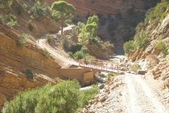 2010-MAROCCO (1145)