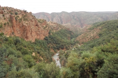 2010-MAROCCO (1173)