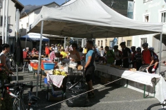 STELVIO2011-1003