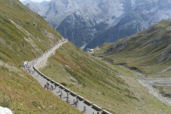 STELVIO2011-1010