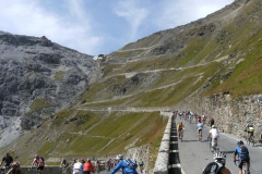 STELVIO2011-1011