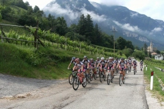 VALDIFASSA (1005)