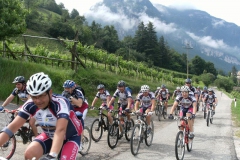 VALDIFASSA (1006)