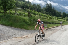 VALDIFASSA (1008)