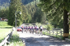VALDIFASSA (1018)