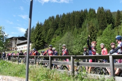 VALDIFASSA (1021)