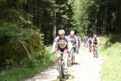 VALDIFASSA (1027)
