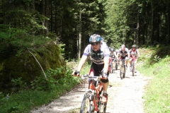 VALDIFASSA (1028)