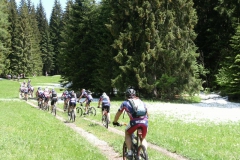 VALDIFASSA (1033)