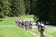 VALDIFASSA (1034)