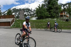 VALDIFASSA (1036)