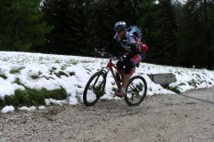 VALDIFASSA (1082)