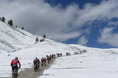 VALDIFASSA (1087)